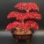 Import Semi-precious Gemstone Crystal Craft Crystal Luck Tree For Office Decoration from China