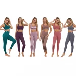 Sexy Young Woman Gym Suit Custom Logo Seamless Fitness Nylon Spandex Sports Bra Yoga Set