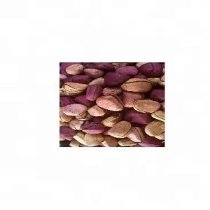 SGS Certified Fresh Red Kola Nut for sale