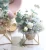 Import Simple and Stylish Plant Stand Gold Metal Flower Stand Innovative Home Model Iron Decoration Plant Stand from China