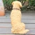 Import Simulation Model of British Golden Retriever Dog Statue Resin Handicrafts from China