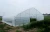 Import Skyplant Agriculture single-span arch plastic film Greenhouse from China