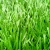 Import Sport soccer futsal synthetic turf football artificial grass from China