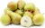 Import SUPER ADORABLE FRESH PEARS FRUIT from South Africa from Austria