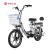 Import TAILG aluminum frame lady electric bike electric bicycle from china from China