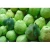Import Taipei Organic Type Fresh Fruit Guava From Dinh Gia Company Global Gap Circle Shape In Vietnam from Vietnam