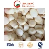 Top Export Quality Frozen Taro and Frozen Vegetable