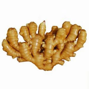 Top Quality Fresh Ginger