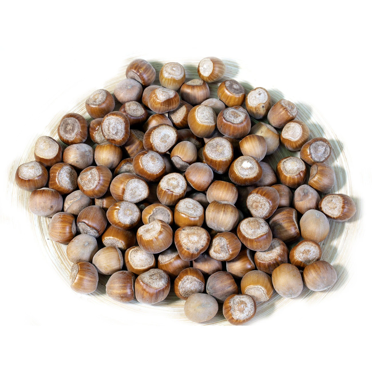 Top Quality | OEM ITALIAN | Organic Hazelnuts in Shell  | for export