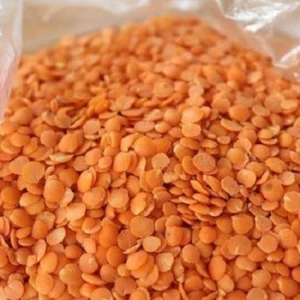 TOP QUALITY RED LENTILS WITH CERTIFICATE IN TURKEY