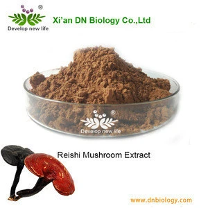 Top quality Reishi Mushroom extract for sale