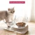 Import Transparent Cat Neck Protective  Pets Feeder 15 Degree Double Water Food Feeding Bowls for Pet from China