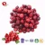 Import TTN China Product Organic Food Dried Fruit Sour Cherry Concentrate Cherry Tomato Fruit from China