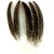 Import turkey wing quill feather from China
