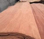 types of wood veneer sheets / eucalyptus core veneer