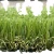 Import UV Resistance Garden Artificial turf Lawn/garden grass from jiangsu  brand artificial grass & sports floor from China