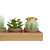 Import Vintage natural bamboo four sectioned tray window planter garden box from China