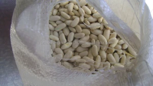 white kidney beans