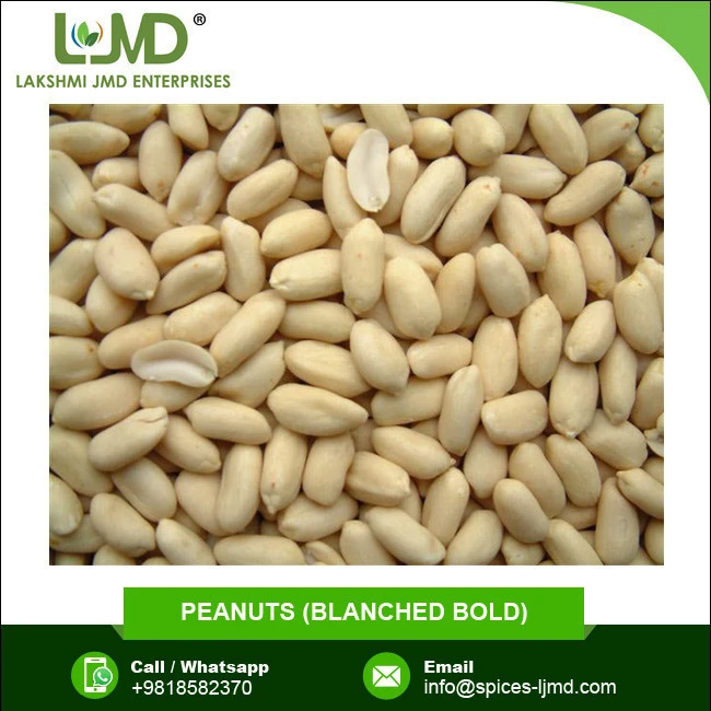 White Long Bold Blanched Peanuts Price