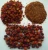 Import Whole dried wild rose hip fruit in China from China