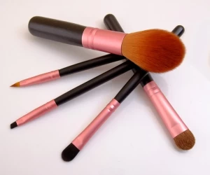 Wholesale Affordable Price 5PCS Makeup Brush for Promotion