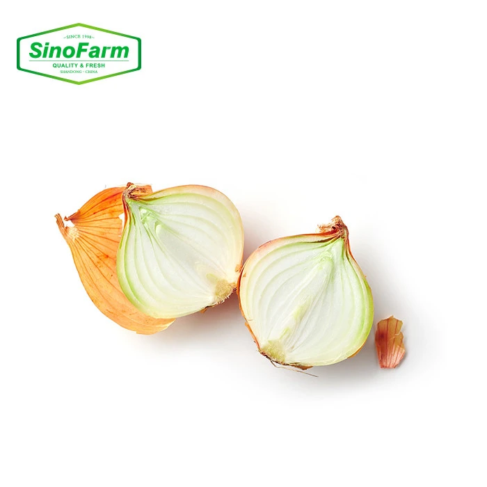 Wholesale chinese fresh yellow onion hot selling with market price