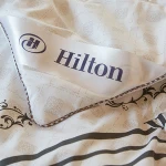 Wholesale Comfortable Quilts bedding bedspreads White Luxury Hotel Down Silk Duvet for Hotel Home