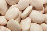Wholesale Dry Lima Beans Size 50-60 For Export / Large White Kideny Bean Origin in China
