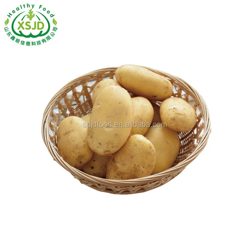 Wholesale Fresh Chinese Holland Sweet Couch Potatoes