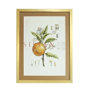 wholesale fruit painting on paper for home goods prints wall art