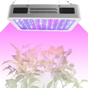 Wholesale grow light 1000W cob uv ir full spectrum 2000 w 1000w led grow light for planting grow indoor garden