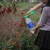 Import Wholesale Juice  Bottles Interface Plastic Spray Gun Sprayer Head Water Manually Pumping Pressure Sprayer from China