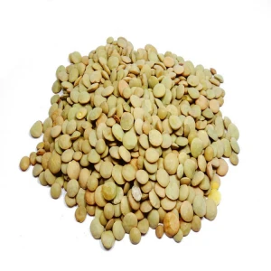 Wholesale lentils green lentils with top quality