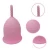 Import Wholesale Price Custom FDA Hygiene Feminine Menstruation Lady Medical Silicone Collapsible Reusable Clean Menstrual Cup from China