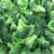 Import Wholesale Price Exporting Frozen Broccoli in Frozen Vegetables from China