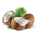 Wholesale Price Organic Bulk Coconut Milk Powder