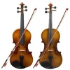 Wholesale price professional advanced basswood body and plastic Accessories 4/4 Astonvilla Violins for apply beginner practice