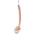 Import Wholesale skin exfoliating men&#x27;s bath supplies wooden long handle body shower brush from China