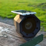 Wireless Portable Speaker- No Dock, No Wires, No Bluetooth Required, Amplifies Your Device's Sound