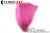 Import ZPDECOR Top Quality Customized Pink Ostrich Nandu Trimmed Feathers from China