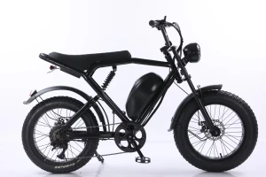 Hot Selling HaLie 20-Inch Fat Tire E-Bike Urban Electric Bicycle Hydraulic Steel Disc