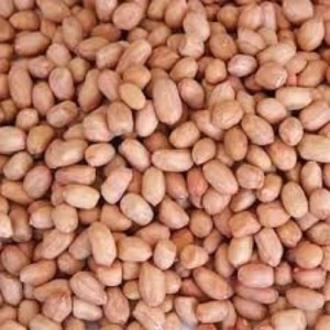 Spanish Peanut kernels