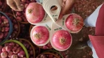 Onion