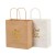 Import Size (8"x4.75"x10")Universal for Shopping Custom Gift Kraft Paper Bag from China