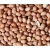 Import Spanish Peanut kernels from India