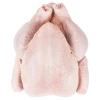 Healthy And Nutritious Whole Frozen Chicken For Sale Fresh And Natural Whole Frozen Chicken Packed Securely