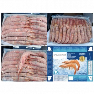Selling Fresh Frozen Whole Vannamei Shrimp White / Black Tiger Shrimp /prawn