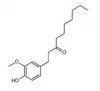 6-Paradol, [6]-Gingerone; [6]-Paradol; Heptyl 4-hydroxy-3-methoxyphenethyl ketone