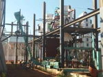Sunflower seed oil press