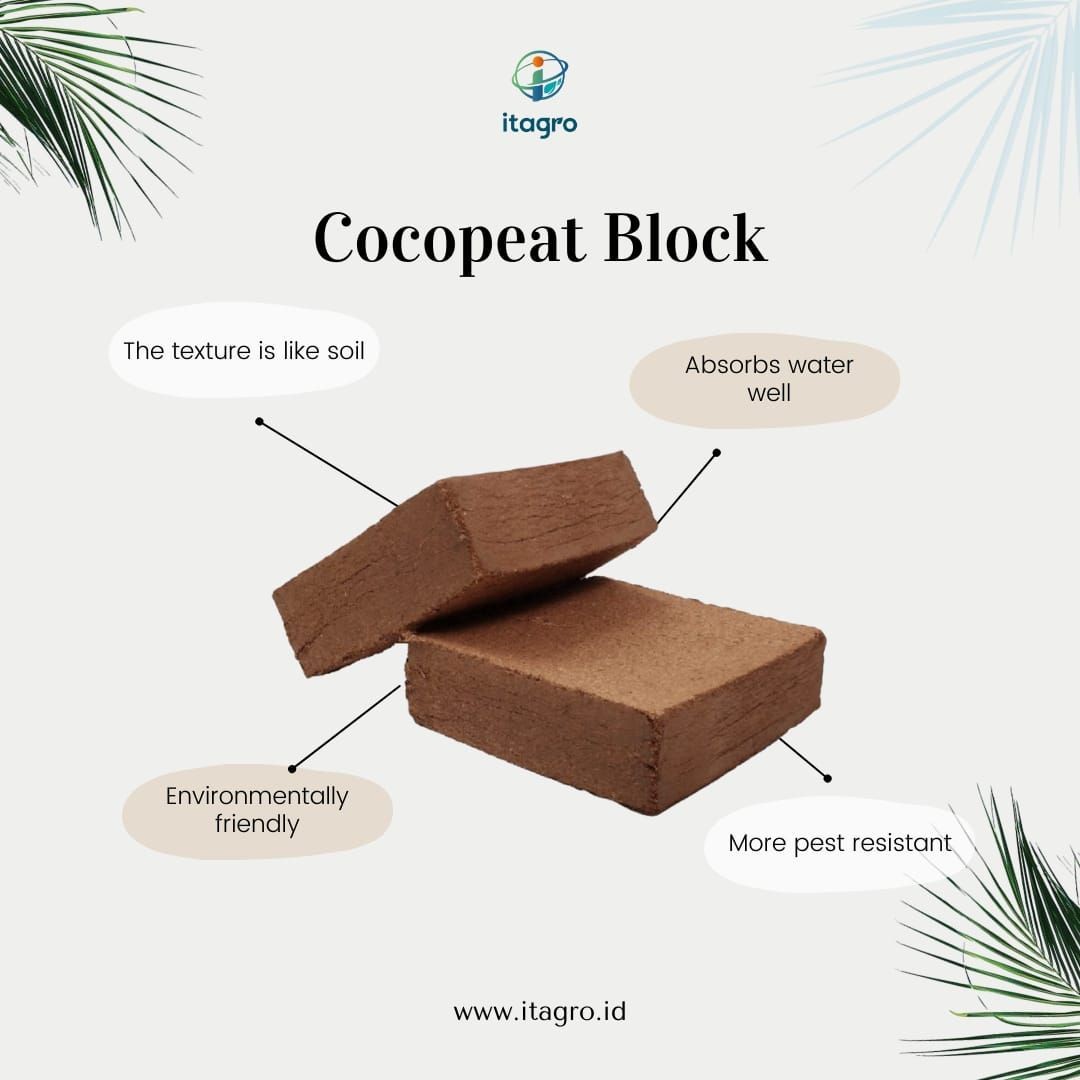 Buy Cocopeat Low Ec Block from INTERNATIONAL AGRO TARA, Indonesia ...